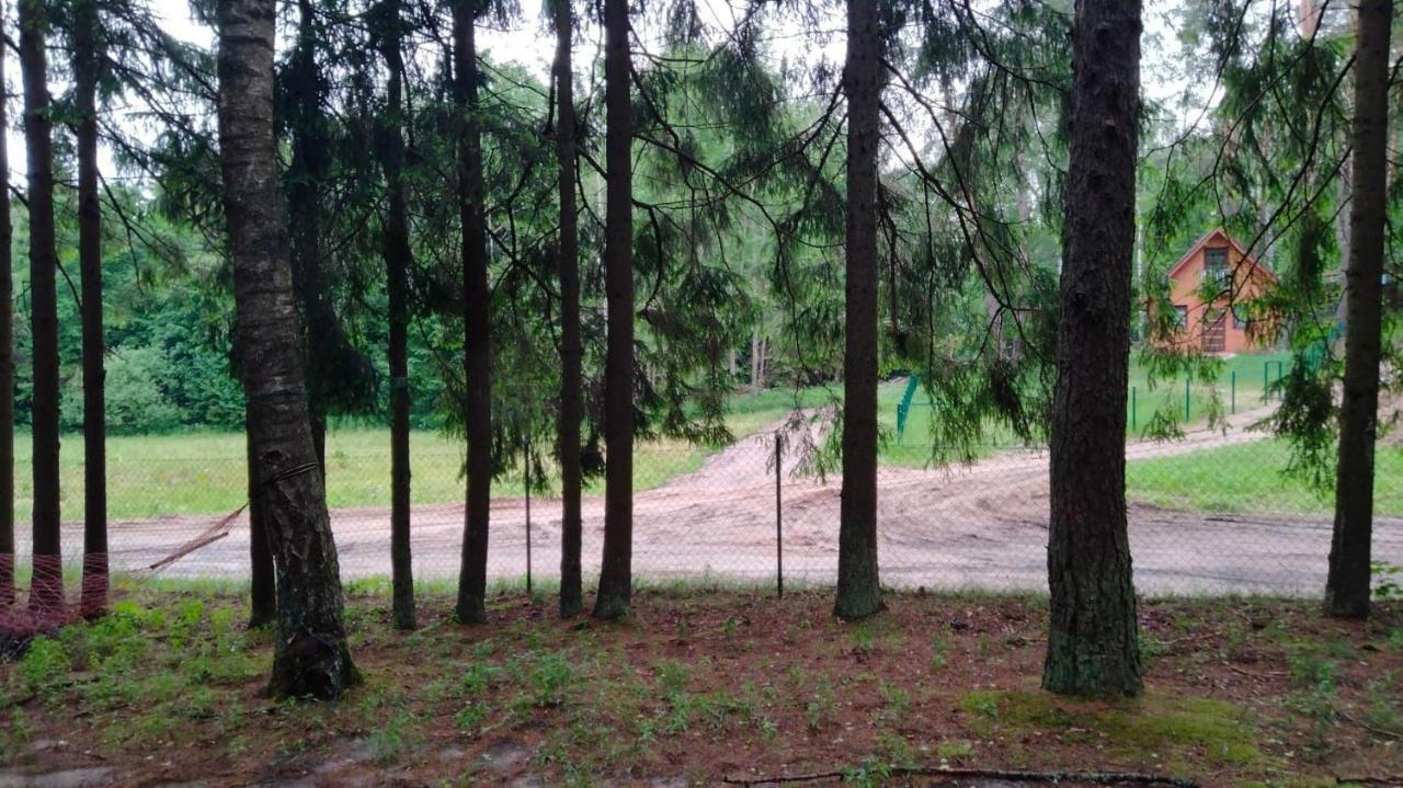 Lodge Oleandria-,, Jagodka 